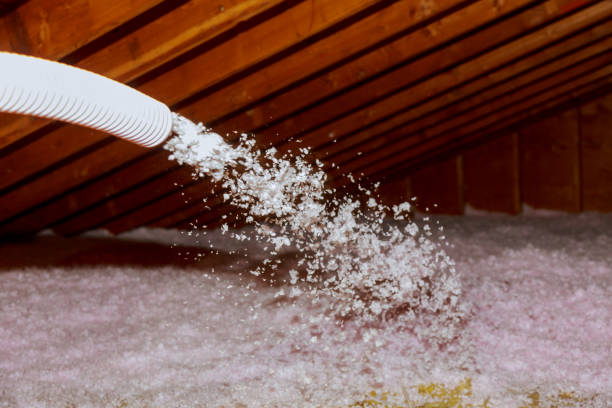 Best Insulation Installation Services in Baxter, MN