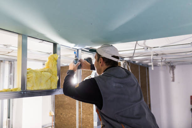 Best Commercial Insulation in Baxter, MN