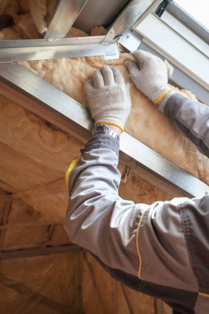 Best Insulation Maintenance and Repair in Baxter, MN
